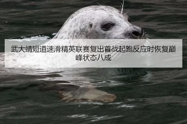 武大靖短道速滑精英联赛复出首战起跑反应时恢复巅峰状态八成